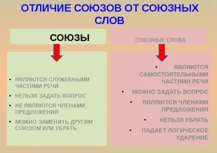 Як відрізнити союз від союзного слова (українською мовою) Як відрізнити союз від союзного слова