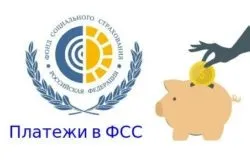 Який передбачений податок на працівника ип (працівника) Який передбачений податок на працівника ип