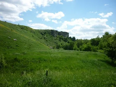 Як почистити свій організм від всіляких паразитів, школа здоров'я рада (щастя) Як почистити свій організм від всіляких паразитів, школа здоров'я рада