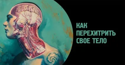 Як перехитрити своє тіло Способи нічого не забувати, заспокоїти серце і швидко виспатися - (виспатися) Як перехитрити своє тіло Способи нічого не забувати, заспокоїти серце і швидко виспатися -