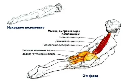 Як підтягнути овал обличчя швидко і легко кращі методи (легко) Як підтягнути овал обличчя швидко і легко кращі методи
