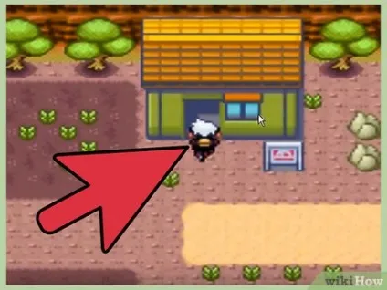 Як отримати здатність «підкоп» в грі pokemon sapphire (отримати) Як отримати здатність «підкоп» в грі pokemon sapphire