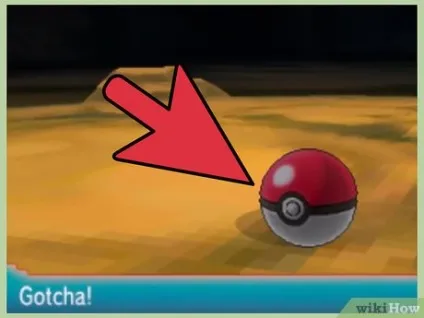 Як отримати здатність «підкоп» в грі pokemon sapphire (отримати) Як отримати здатність «підкоп» в грі pokemon sapphire