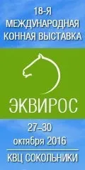Як поставити коня на темп