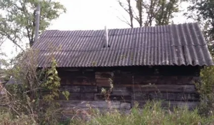 Як побудувати сарай своїми руками для курей, кроликів, биків, кози та інших тварин (курей) Як побудувати сарай своїми руками для курей, кроликів, биків, кози та інших тварин