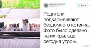 Як підносять одні й ті ж історичні події в різних країнах (події) Як підносять одні й ті ж історичні події в різних країнах