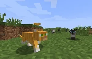 Як приручити оцелота в minecraft, що з компом (minecraft) Як приручити оцелота в minecraft, що з компом