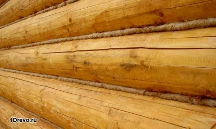 Як правильно утеплити срубовой будинок всередині і зовні доступні методи (всередині) Як правильно утеплити срубовой будинок всередині і зовні доступні методи