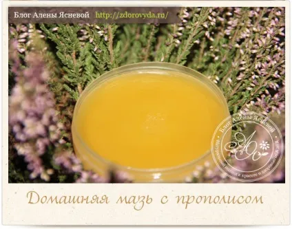 Як приготувати мазь з прополісом своїми руками -рецепт з фото (своїми руками) Як приготувати мазь з прополісом своїми руками -рецепт з фото