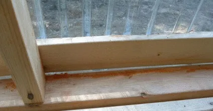 Як просто і дешево захистити свій будинок від мух і комарів (просто) Як просто і дешево захистити свій будинок від мух і комарів