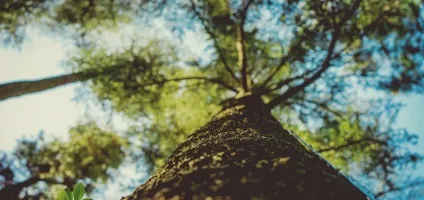 Як самостійно зробити приворот на солодке - практична магія (любов) Як самостійно зробити приворот на солодке - практична магія