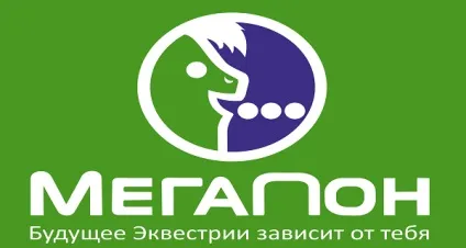 Як зробити деталізацію на мегафон
