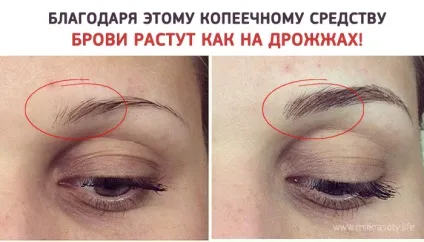 Як зробити густі брови за копійки (густі) Як зробити густі брови за копійки