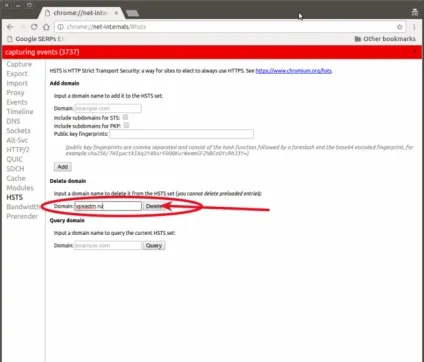 Як скинути кеш редиректів або dns в google chrome (google) Як скинути кеш редиректів або dns в google chrome