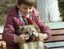 собак