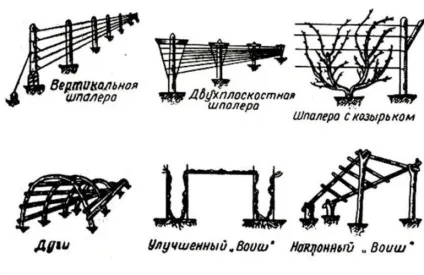 Як зробити шпалеру для винограду своїми руками (винограду своїми руками) Як зробити шпалеру для винограду своїми руками