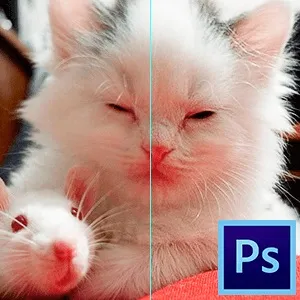 Як зробити туман в фотошопі (сполучення клавіш CTRL) Як зробити туман в фотошопі