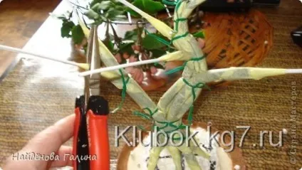 Як зробити ствол для зібраного бонсая, клубок (дерево) Як зробити ствол для зібраного бонсая, клубок
