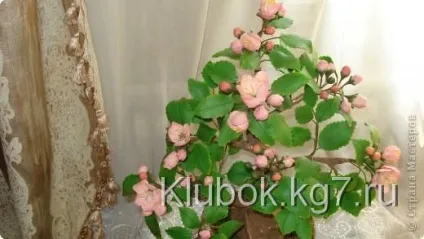 Як зробити ствол для зібраного бонсая, клубок (кулінарія) Як зробити ствол для зібраного бонсая, клубок