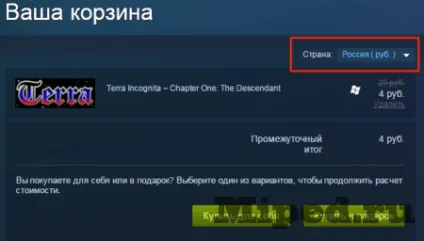 Як змінити валюту steam на рублі без техпідтримки (steam) Як змінити валюту steam на рублі без техпідтримки