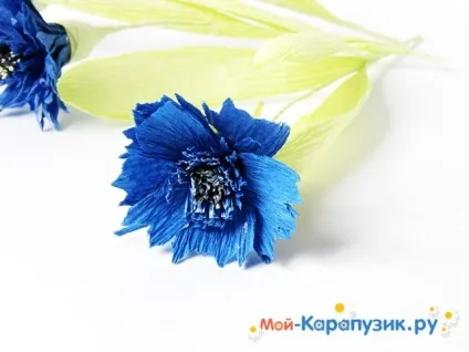 Як зробити волошки з паперу (паперу) Як зробити волошки з паперу
