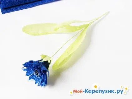 Як зробити волошки з паперу (паперу) Як зробити волошки з паперу