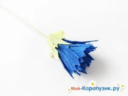 Як зробити волошки з паперу (зробити) Як зробити волошки з паперу