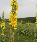 Як впоратися з клімаксом клімакс, менопауза, здоров'я, здоров'я жінки, поради, рекомендації (клімакс) Як впоратися з клімаксом клімакс, менопауза, здоров'я, здоров'я жінки, поради, рекомендації