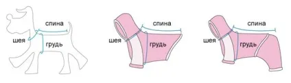 Як зняти мірки з собаки, як виміряти собаку для одягу (виміряти) Як зняти мірки з собаки, як виміряти собаку для одягу