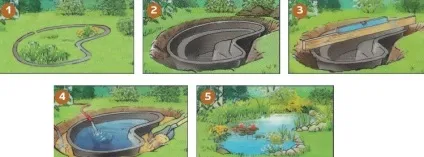 Як створити штучну водойму (водойми) Як створити штучну водойму