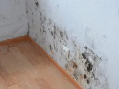 Як прибрати цвіль зі стіни в квартирі виводимо грибок в домашніх умовах своїми руками (стіни) Як прибрати цвіль зі стіни в квартирі виводимо грибок в домашніх умовах своїми руками