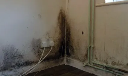 Як видалити цвіль зі стін у ванній і житловій кімнаті (цвіль стін видалити грибок самостійно прибрати) Як видалити цвіль зі стін у ванній і житловій кімнаті