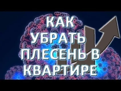 Як прибрати цвіль зі стіни в квартирі виводимо грибок в домашніх умовах своїми руками (квартирі) Як прибрати цвіль зі стіни в квартирі виводимо грибок в домашніх умовах своїми руками