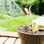 Як поліпшити якість фото на андроїд (фото) Як поліпшити якість фото на андроїд