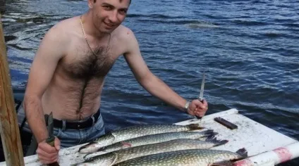 Як убити безболісно рибу