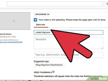 Як збільшити число переглядів роликів на youtube (youtube) Як збільшити число переглядів роликів на youtube