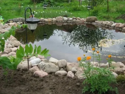 Як зміцнити берег водойми своїми руками (берег) Як зміцнити берег водойми своїми руками