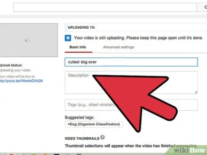Як збільшити число переглядів роликів на youtube (youtube) Як збільшити число переглядів роликів на youtube