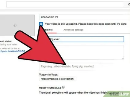Як збільшити число переглядів роликів на youtube (youtube) Як збільшити число переглядів роликів на youtube
