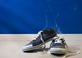 Як доглядати за велюрової взуттям взимку - догляд за велюром (взуттям) Як доглядати за велюрової взуттям взимку - догляд за велюром