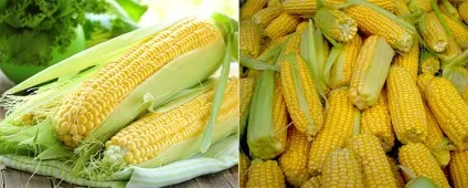 Як варити кукурудзу та інші способи приготування (кукурудзу) Як варити кукурудзу та інші способи приготування