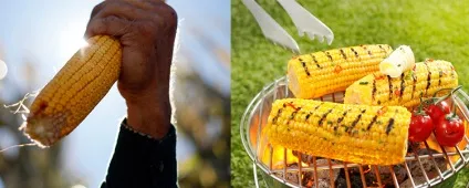 Як варити кукурудзу та інші способи приготування (варити) Як варити кукурудзу та інші способи приготування
