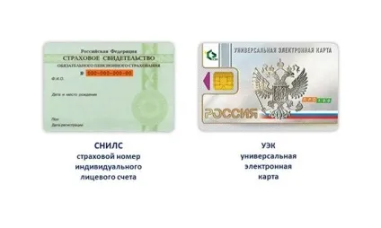 Як дізнатися СНІЛС по паспорту онлайн (дізнатися) Як дізнатися СНІЛС по паспорту онлайн