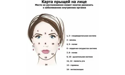 Як доглядати за собою детальний план по днях (як доглядати за собою) Як доглядати за собою детальний план по днях