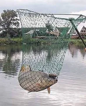 Як вибрати підсак для риболовлі (виготовлена капрону волосіні) Як вибрати підсак для риболовлі
