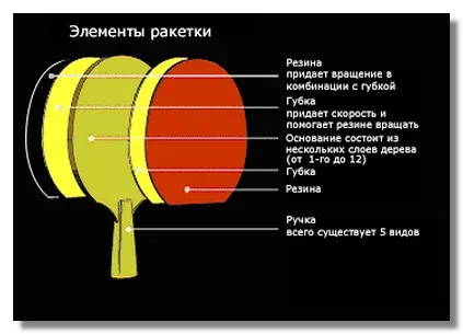 Як вибрати ракетку для настільного тенісу, спорт всередині тебе (спорт всередині тебе) Як вибрати ракетку для настільного тенісу, спорт всередині тебе