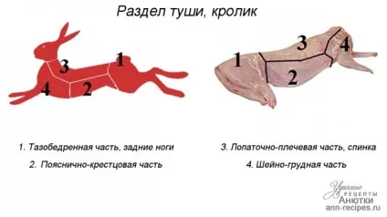 Як вибрати м'ясо кролика - вдалі рецепти з Анютка (рецепти) Як вибрати м'ясо кролика - вдалі рецепти з Анютка