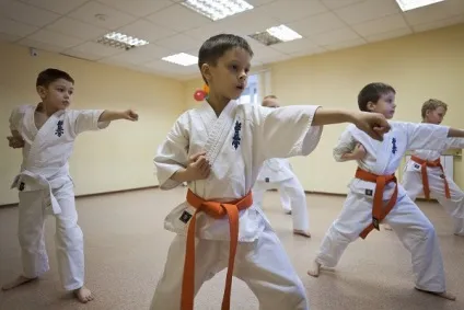 Як вибрати спорт для дитини - зробіть правильний вибір (вибрати) Як вибрати спорт для дитини - зробіть правильний вибір