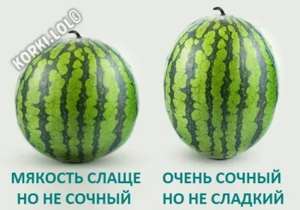 Як вибрати стиглий і солодкий кавун при покупці в магазині (стиглий кавун) Як вибрати стиглий і солодкий кавун при покупці в магазині