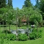 Як виростити свою живу альтанку, фотоприклади ландшафту і екстер'єру